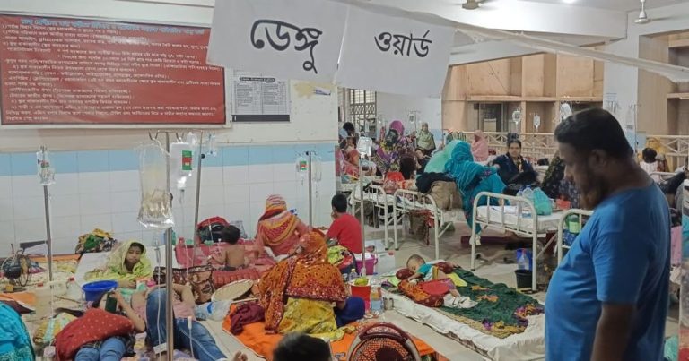 ডেঙ্গুতে আরও ১৭ মৃত্যু
