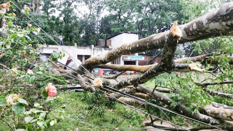 কমলগঞ্জে কালবৈশাখী ঝড়ে অর্ধশতাধিক ঘর বিধ্বস্ত, লন্ডভন্ড বিদ্যুৎ ব্যবস্থা